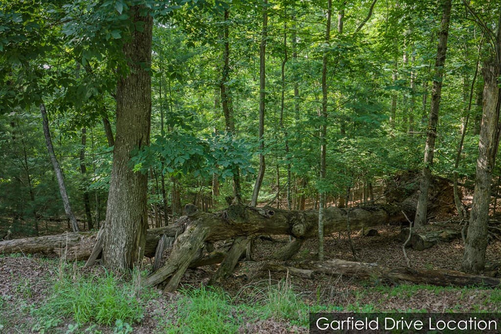 Lot 2800 Medina Court, Ellijay GA 30540 - Photo