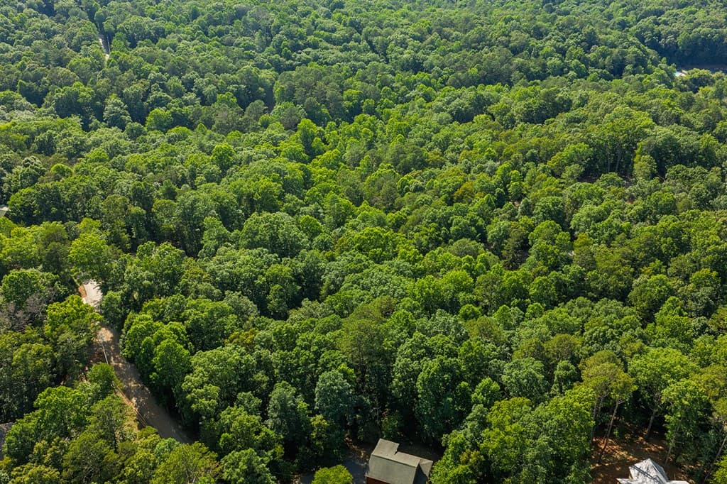 Lot 2800 Medina Court, Ellijay GA 30540 - Photo