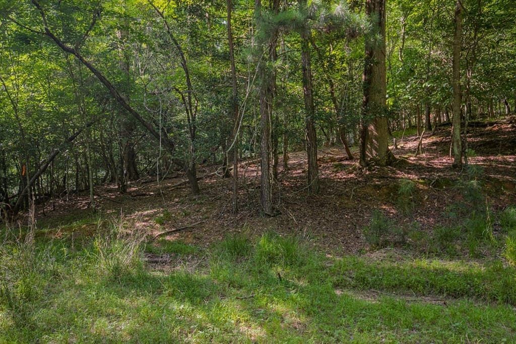 Lot 2800 Medina Court, Ellijay GA 30540 - Photo