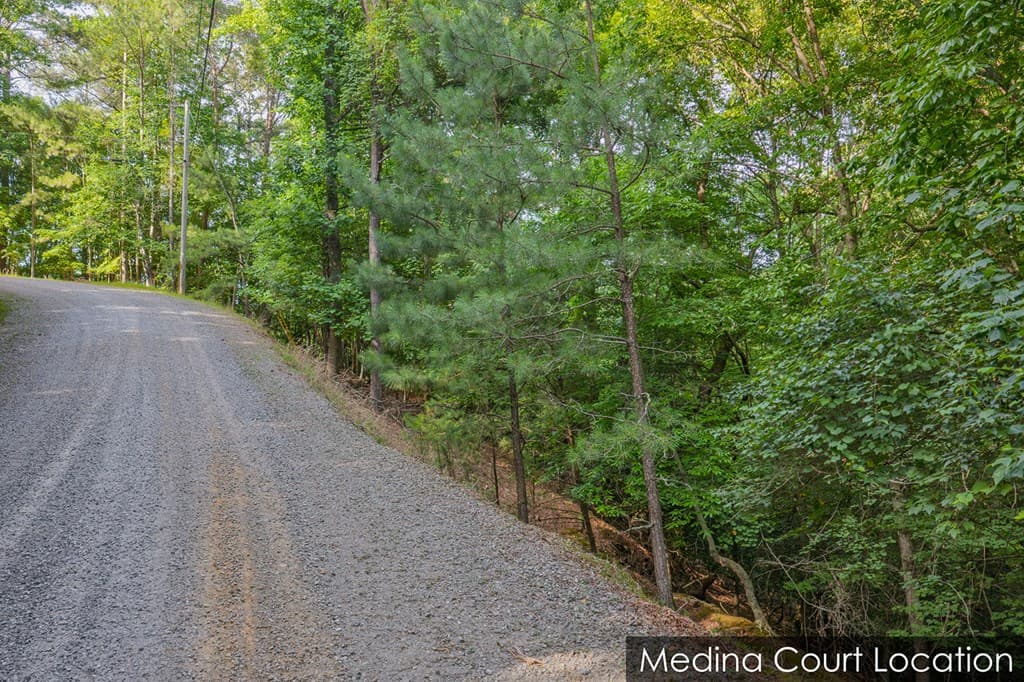 Lot 2800 Medina Court, Ellijay GA 30540 - Photo