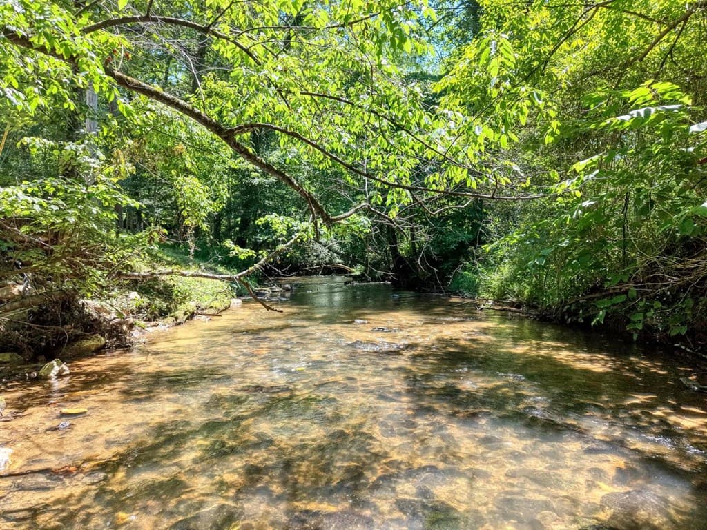 500 Williamstown Road S, Mineral Bluff GA 30559 - Photo
