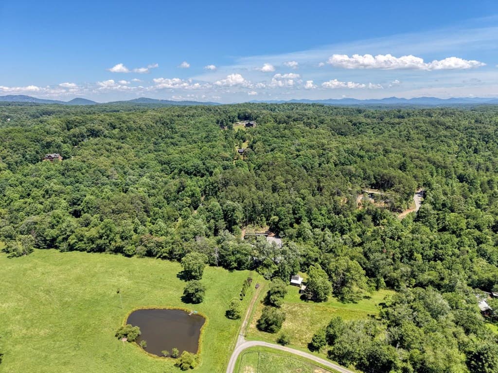 500 Williamstown Road S, Mineral Bluff GA 30559 - Photo