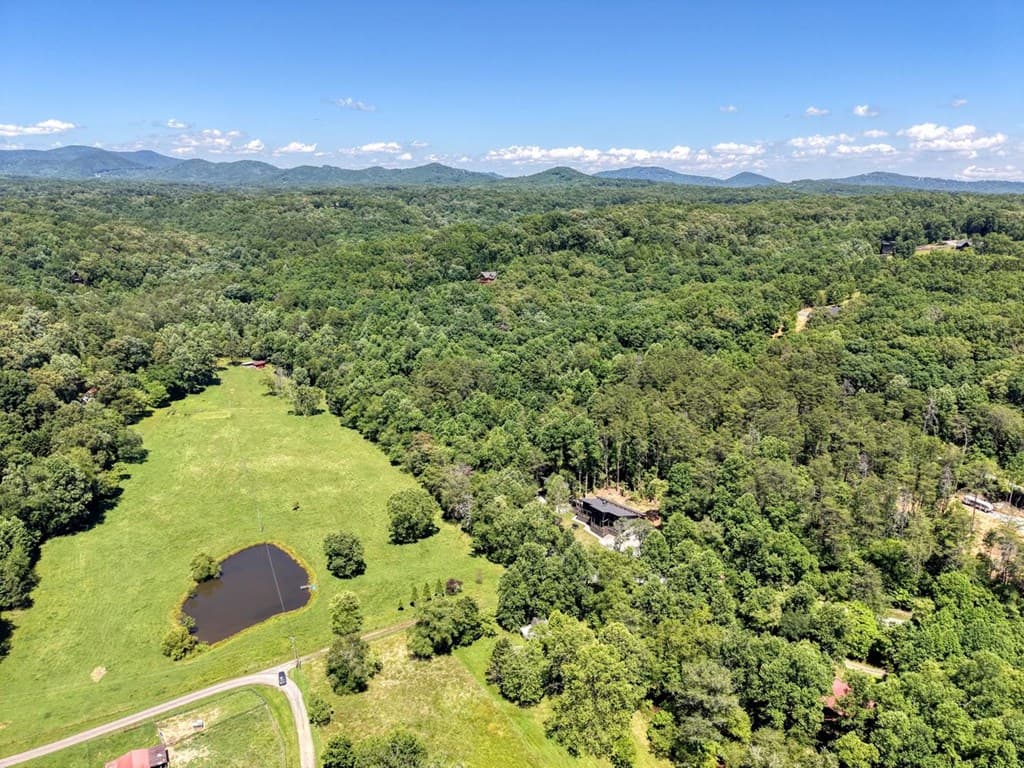 500 Williamstown Road S, Mineral Bluff GA 30559 - Photo