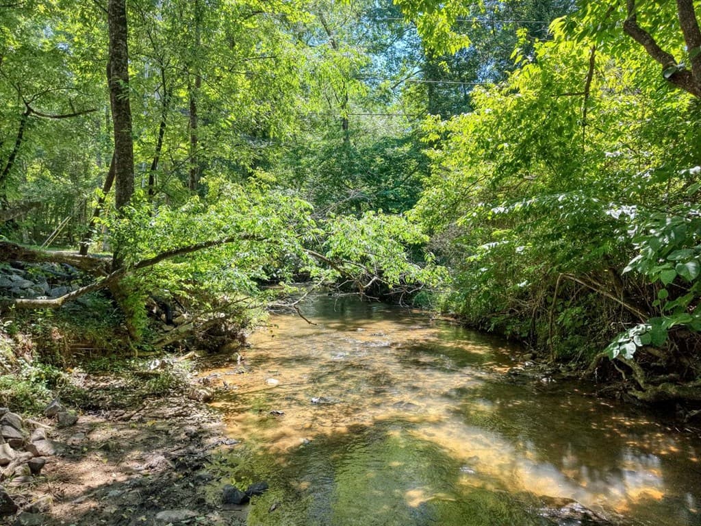 500 Williamstown Road S, Mineral Bluff GA 30559 - Photo