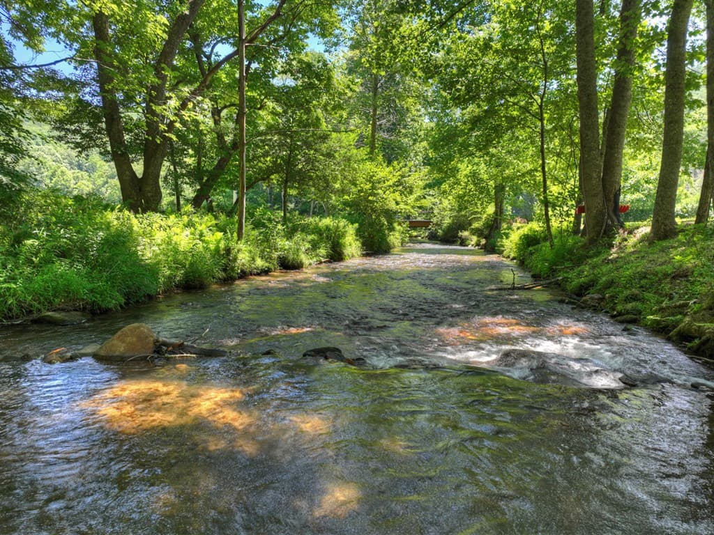 2628 Big Creek Road, Cherry Log GA 30522 - Photo