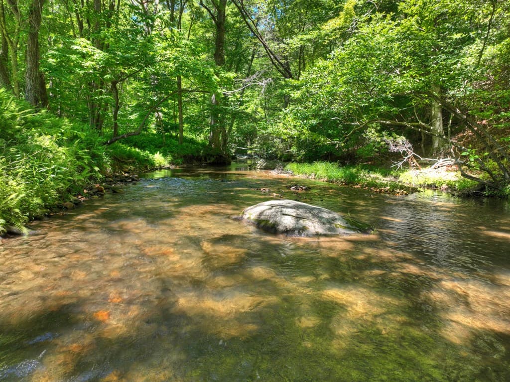 2628 Big Creek Road, Cherry Log GA 30522 - Photo
