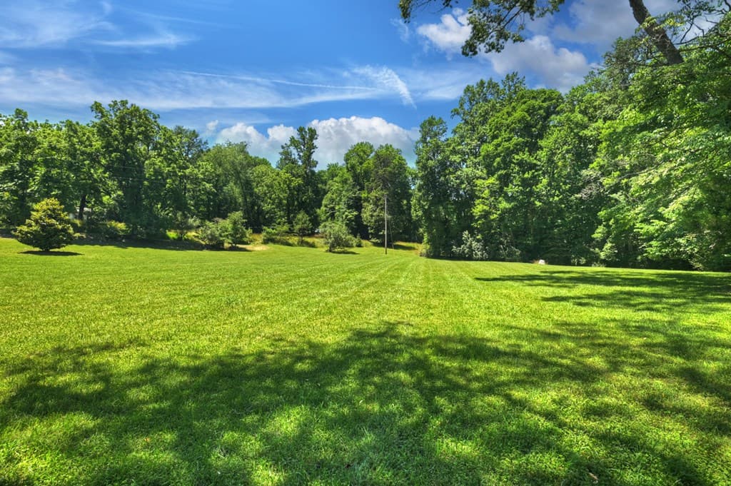 2628 Big Creek Road, Cherry Log GA 30522 - Photo