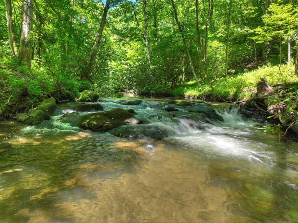 2628 Big Creek Road, Cherry Log GA 30522 - Photo