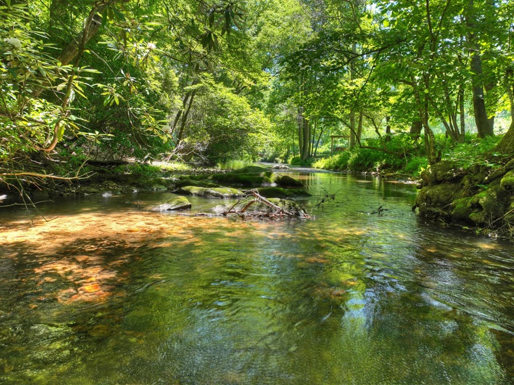 2628 Big Creek Road, Cherry Log GA 30522 - Photo