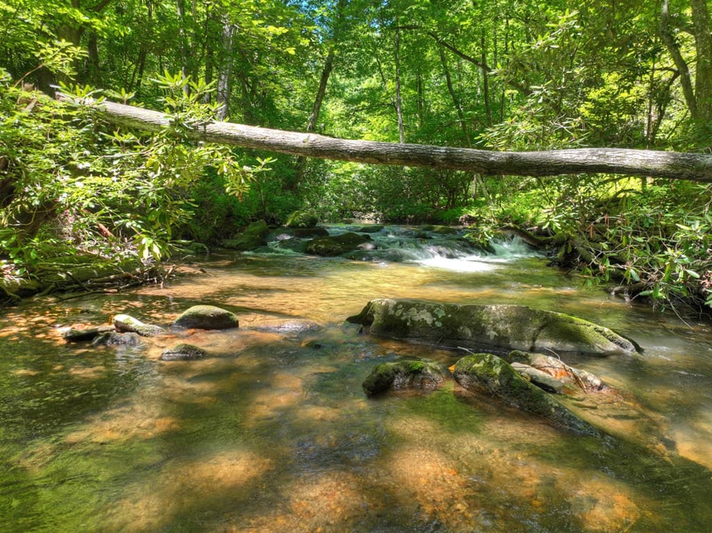 2628 Big Creek Road, Cherry Log GA 30522 - Photo