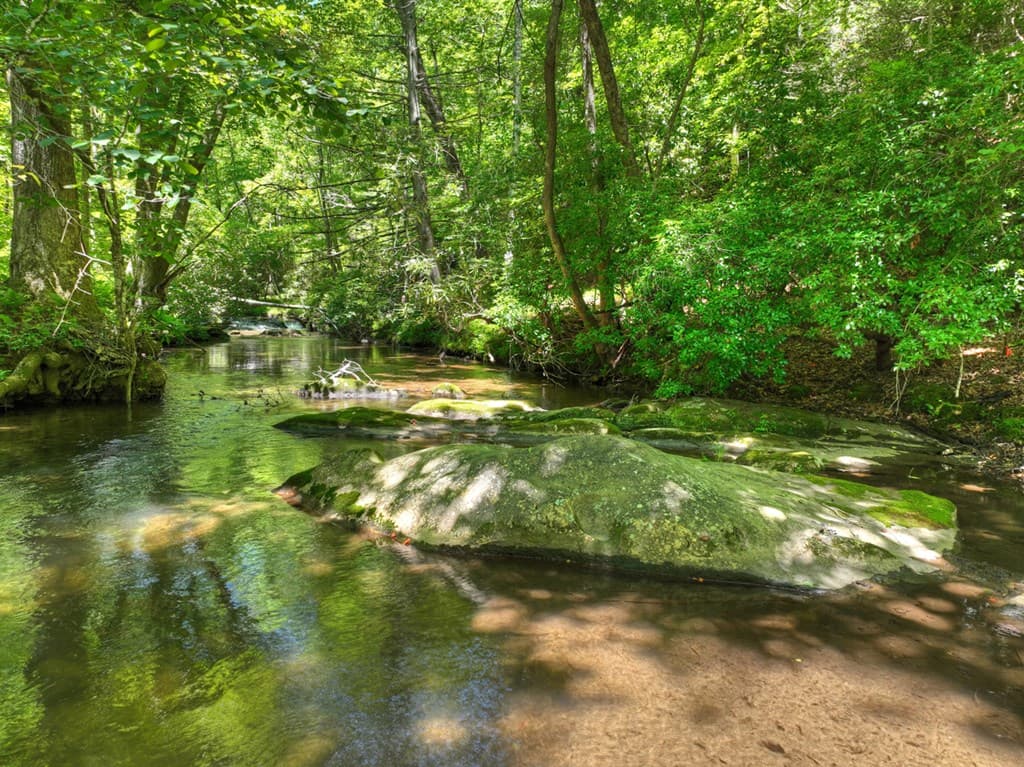2628 Big Creek Road, Cherry Log GA 30522 - Photo