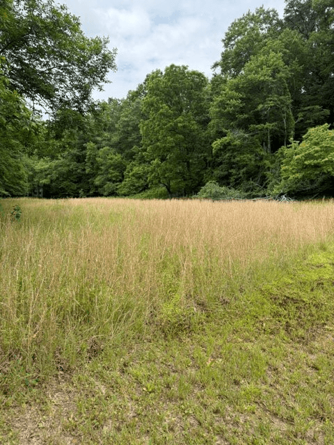 00 Patton Drive, Hayesville NC 28904 - Photo