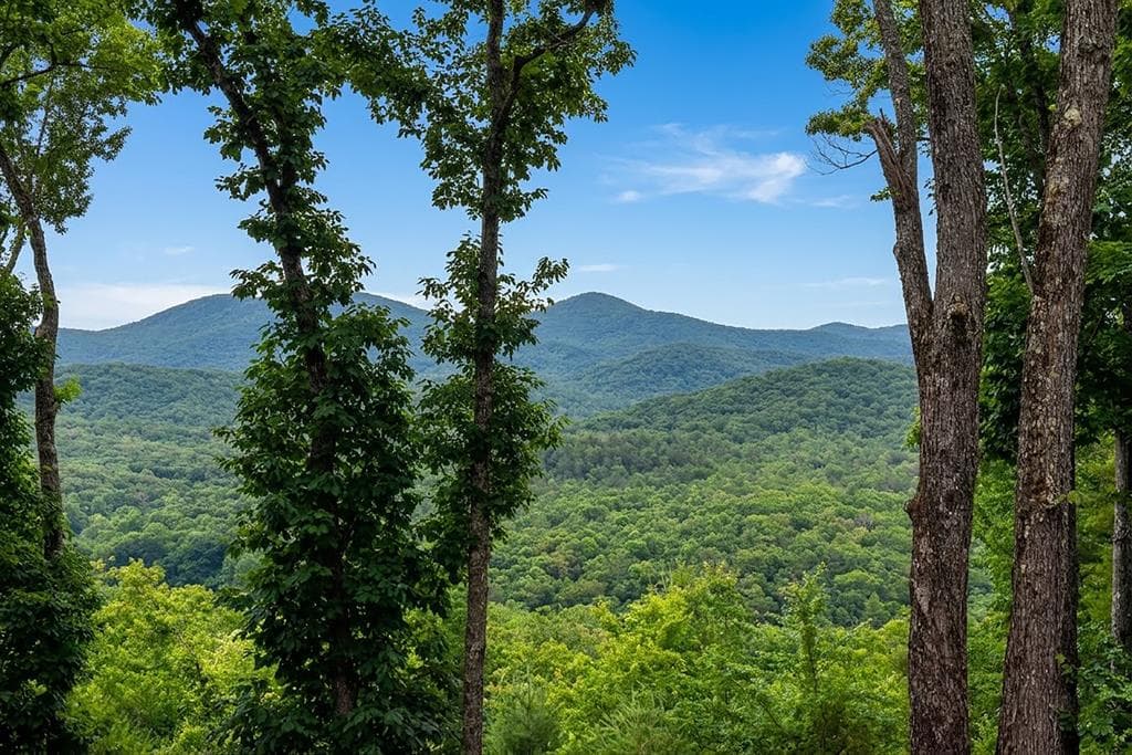 731 Native Trail, Blue Ridge GA 30513 - Photo