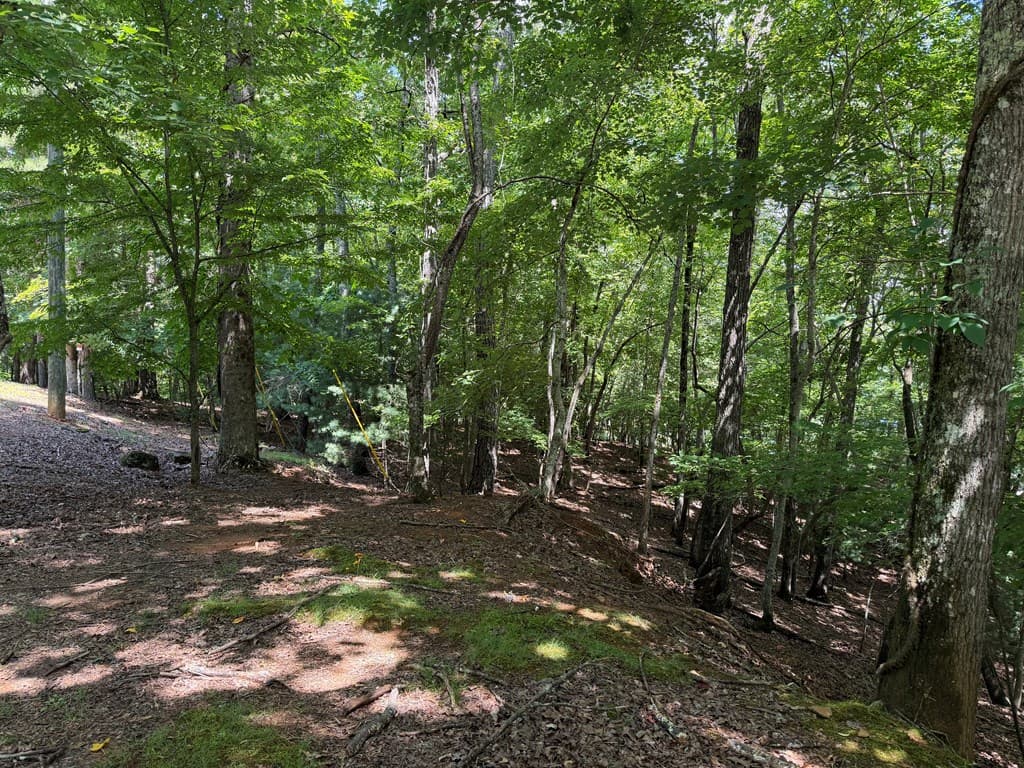 3545 Newport Drive, Ellijay GA 30540 - Photo