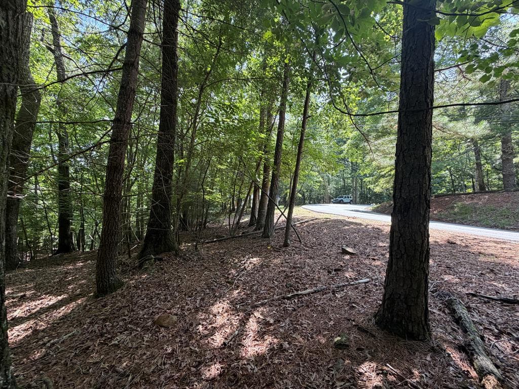 3545 Newport Drive, Ellijay GA 30540 - Primary photo