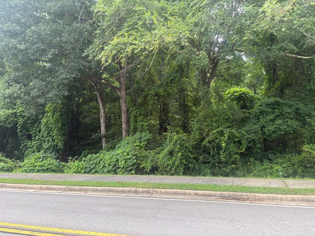 00 Ml King Jr Drive, Jefferson GA 30549 - Photo
