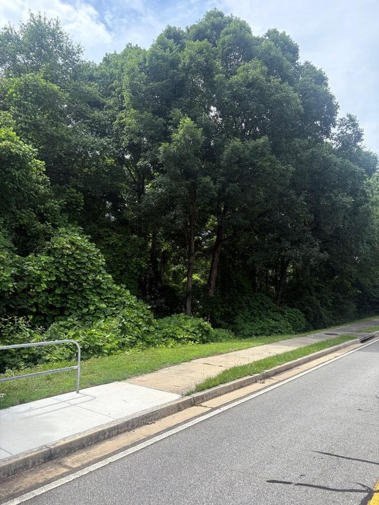 00 Ml King Jr Drive, Jefferson GA 30549 - Photo