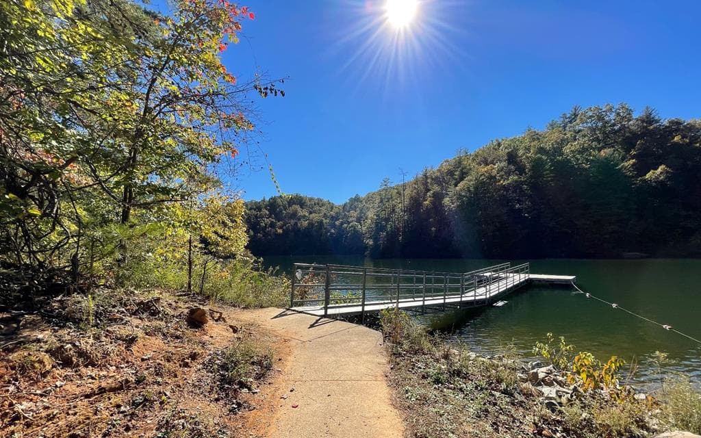 Lot 20 Lake Top Lane, Ellijay GA 30540 - Photo