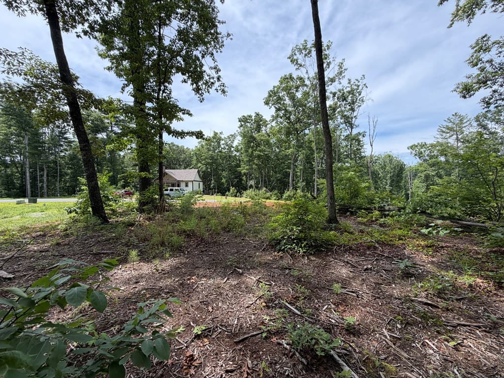Lot 20 Lake Top Lane, Ellijay GA 30540 - Photo