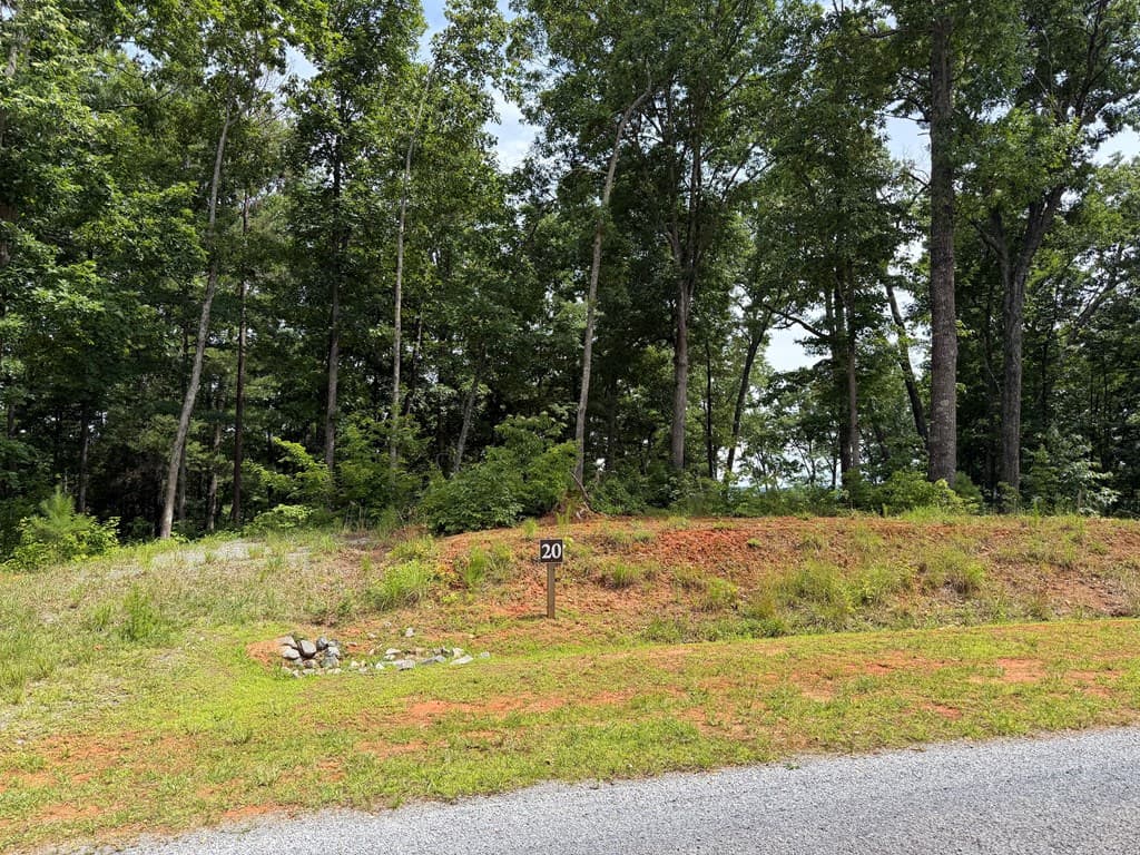 Lot 20 Lake Top Lane, Ellijay GA 30540 - Photo