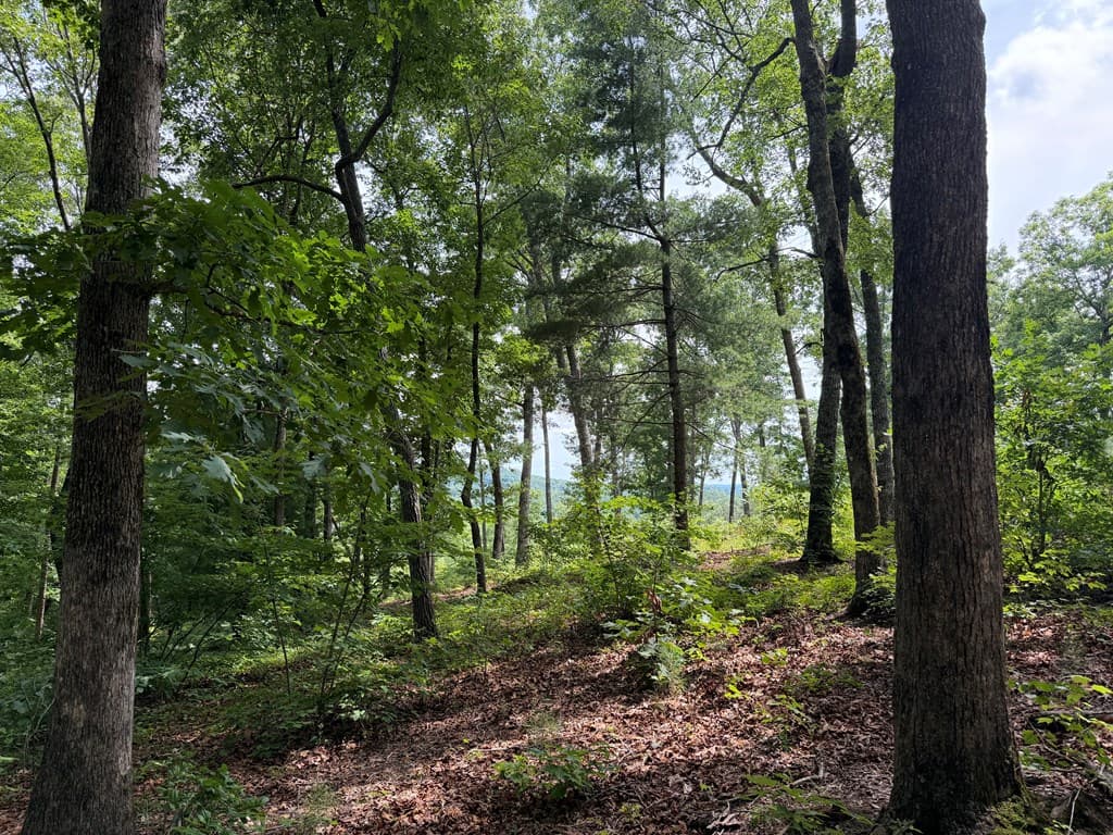 Lot 20 Lake Top Lane, Ellijay GA 30540 - Photo