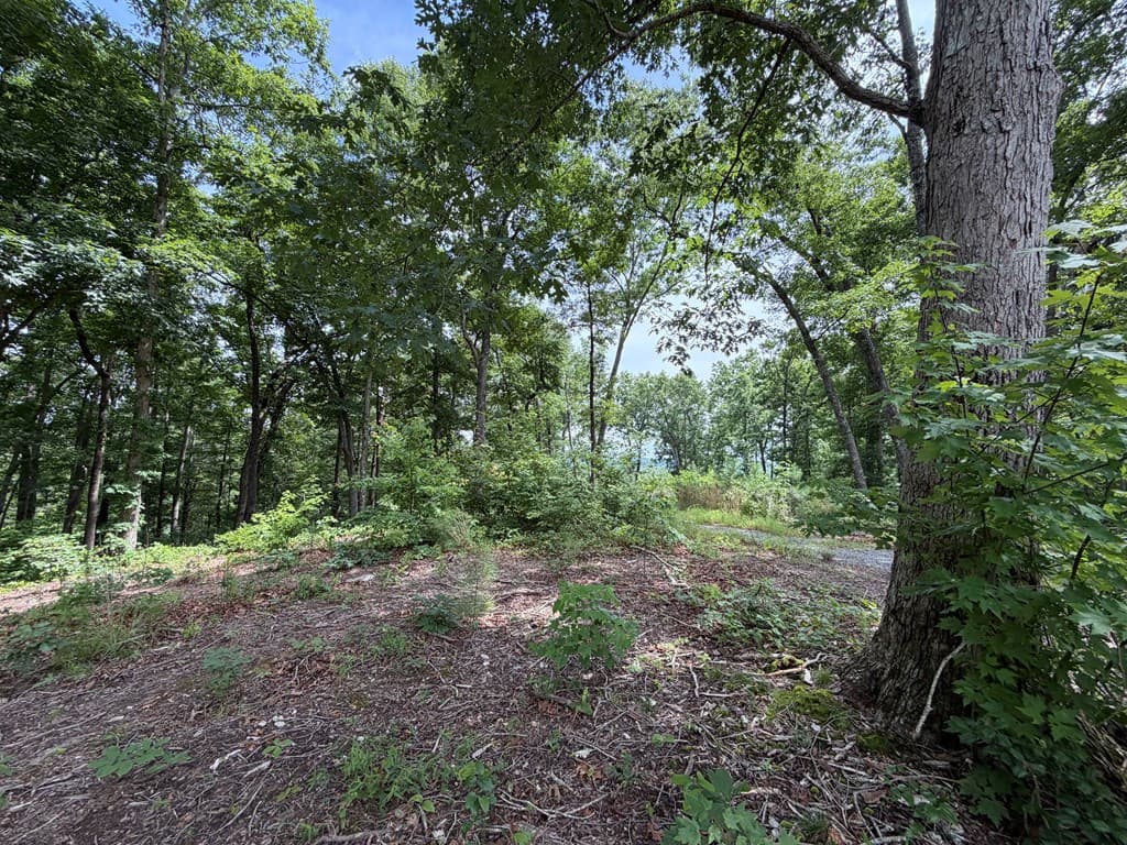 Lot 20 Lake Top Lane, Ellijay GA 30540 - Photo