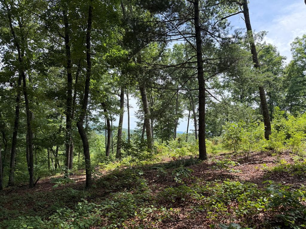 Lot 20 Lake Top Lane, Ellijay GA 30540 - Primary photo