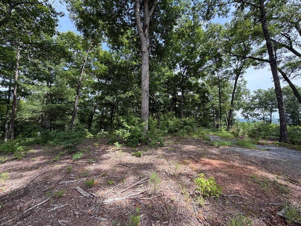 Lot 20 Lake Top Lane, Ellijay GA 30540 - Photo