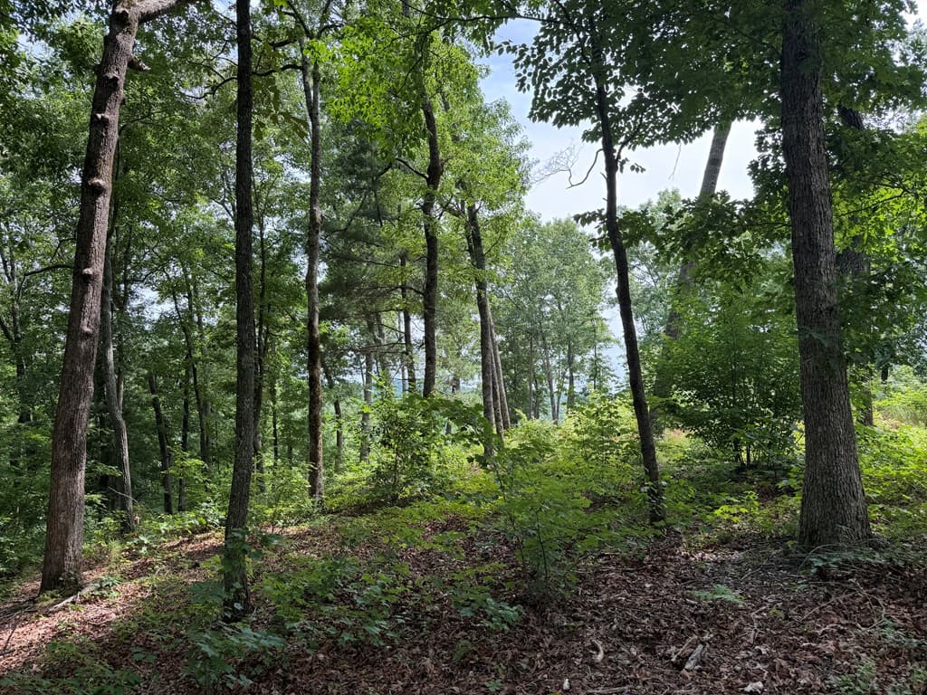 Lot 20 Lake Top Lane, Ellijay GA 30540 - Photo