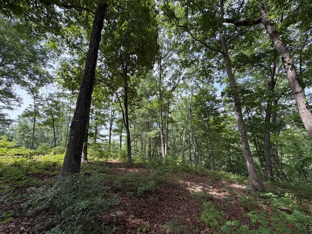 Lot 20 Lake Top Lane, Ellijay GA 30540 - Photo
