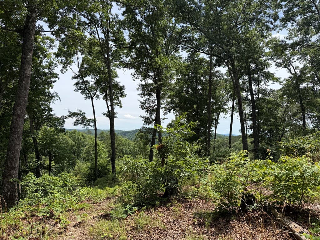 Lot 20 Lake Top Lane, Ellijay GA 30540 - Photo