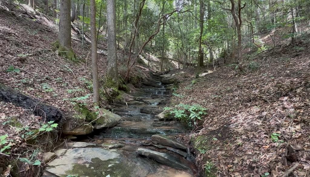 Lot 20 Lake Top Lane, Ellijay GA 30540 - Photo