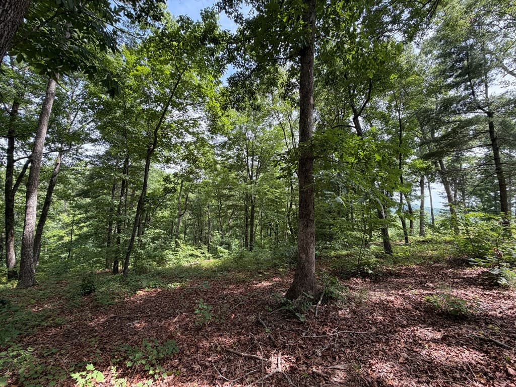 Lot 20 Lake Top Lane, Ellijay GA 30540 - Photo