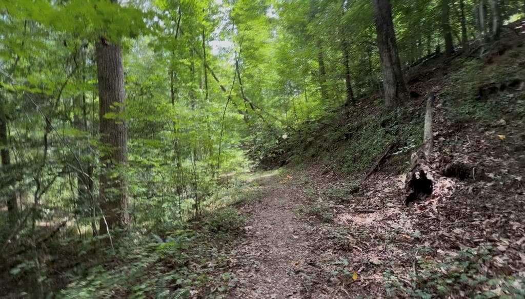 Lot 20 Lake Top Lane, Ellijay GA 30540 - Photo