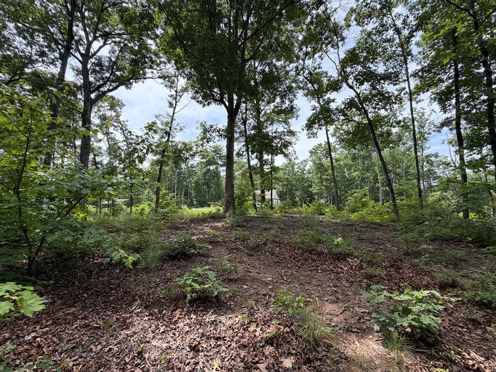 Lot 20 Lake Top Lane, Ellijay GA 30540 - Photo