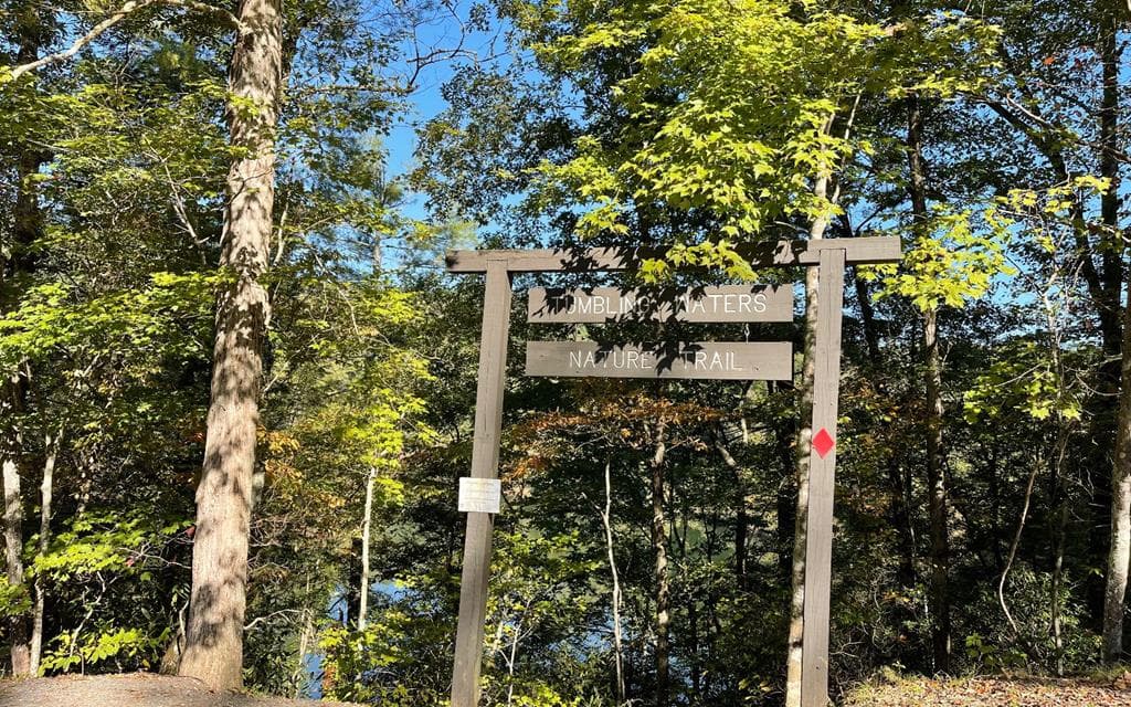 Lot 20 Lake Top Lane, Ellijay GA 30540 - Photo