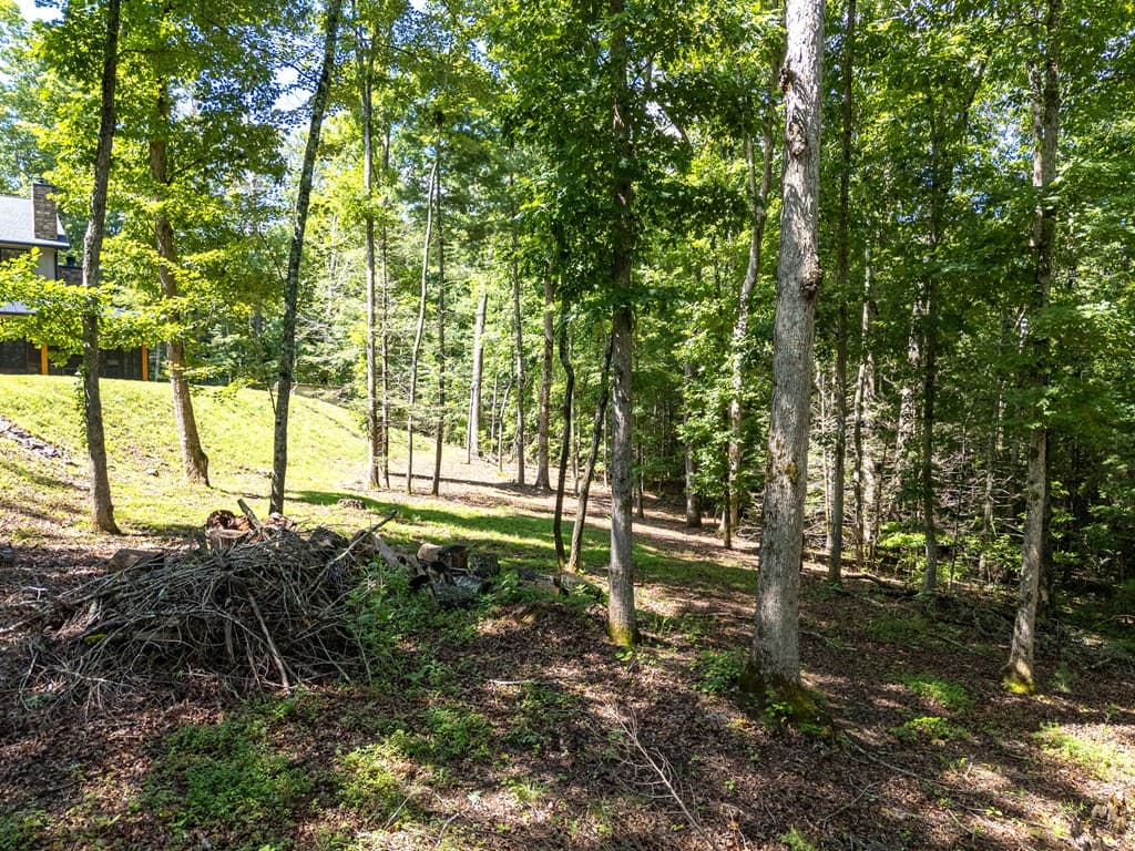 1198 Nature Valley Trail, Murphy NC 28906 - Photo