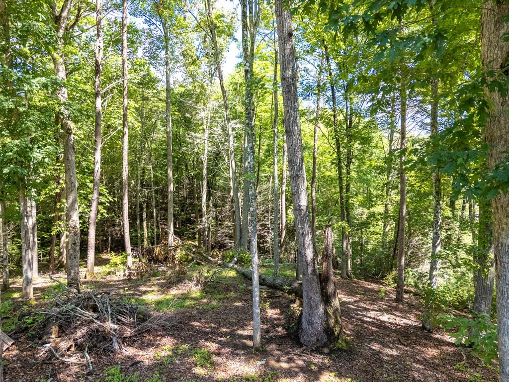 1198 Nature Valley Trail, Murphy NC 28906 - Photo