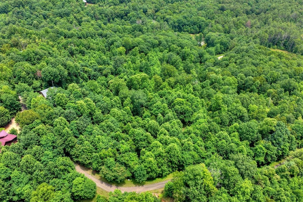 217 Catawba Drive, Mineral Bluff GA 30559 - Photo