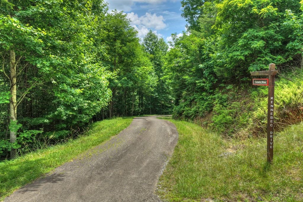 217 Catawba Drive, Mineral Bluff GA 30559 - Photo