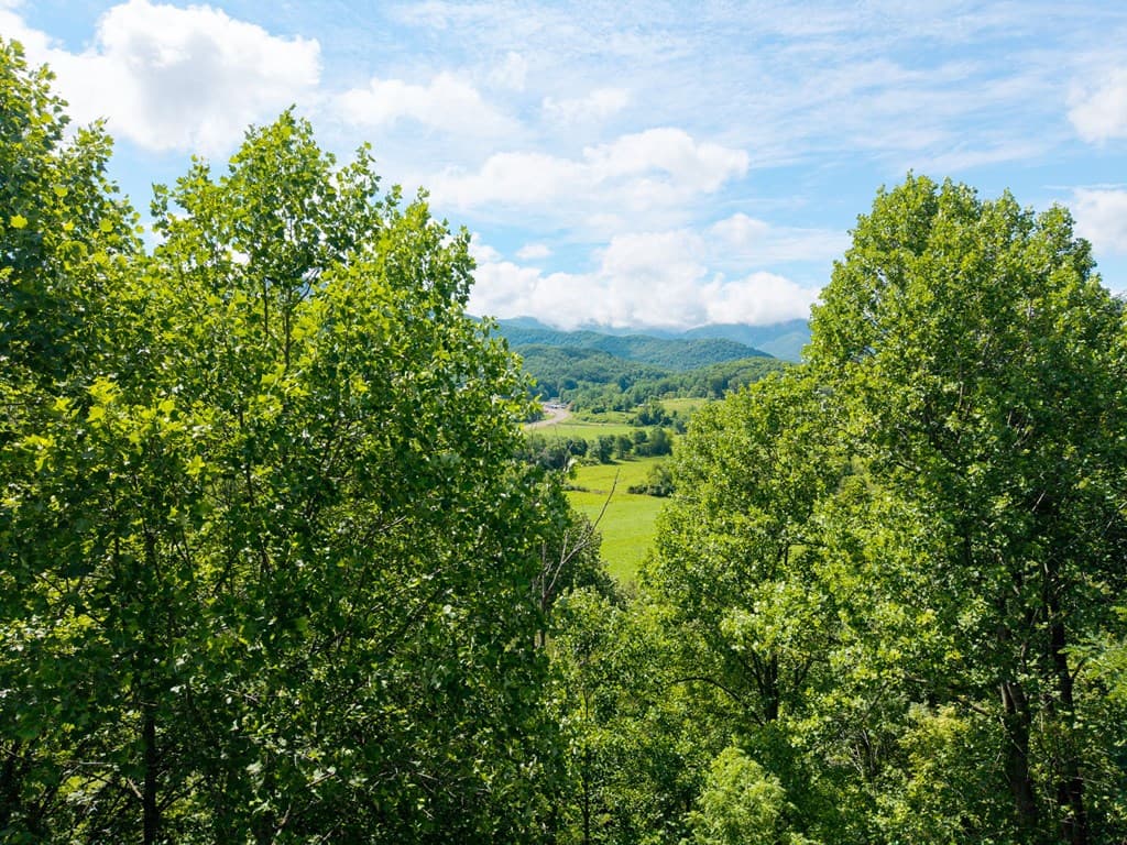 5875 Brasstown Creek Est, Young Harris GA 30582 - Photo