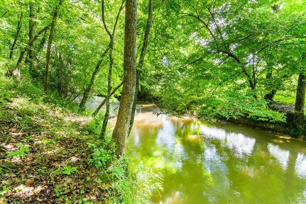 5875 Brasstown Creek Est, Young Harris GA 30582 - Photo