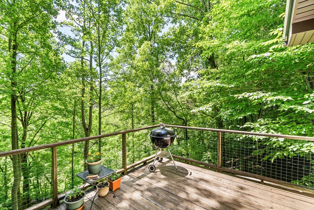 5875 Brasstown Creek Est, Young Harris GA 30582 - Photo