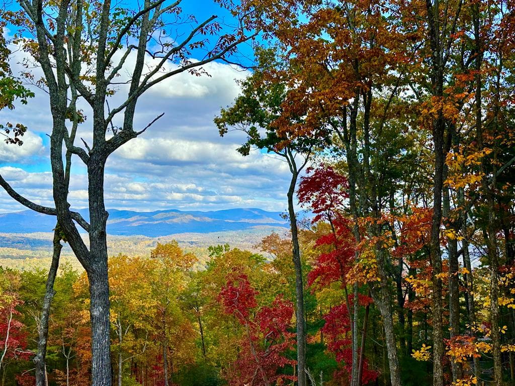 772 Rainbow Mountain Drive, Ellijay GA 30536 - Photo
