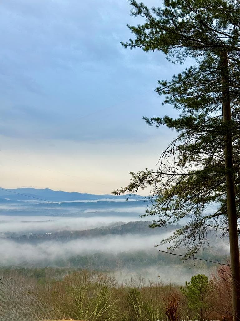 772 Rainbow Mountain Drive, Ellijay GA 30536 - Photo