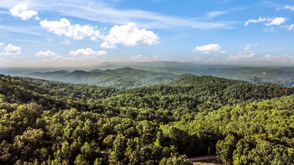 1269 Hunter Drive, Ranger GA 30734 - Photo