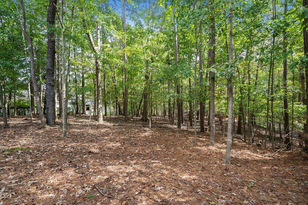 295 Vista Chalet Drive, Ellijay GA 30540 - Photo