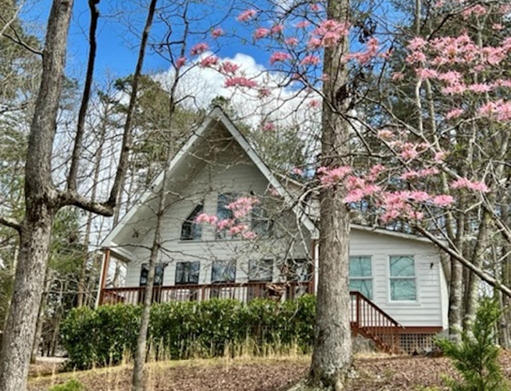295 Vista Chalet Drive, Ellijay GA 30540 - Photo