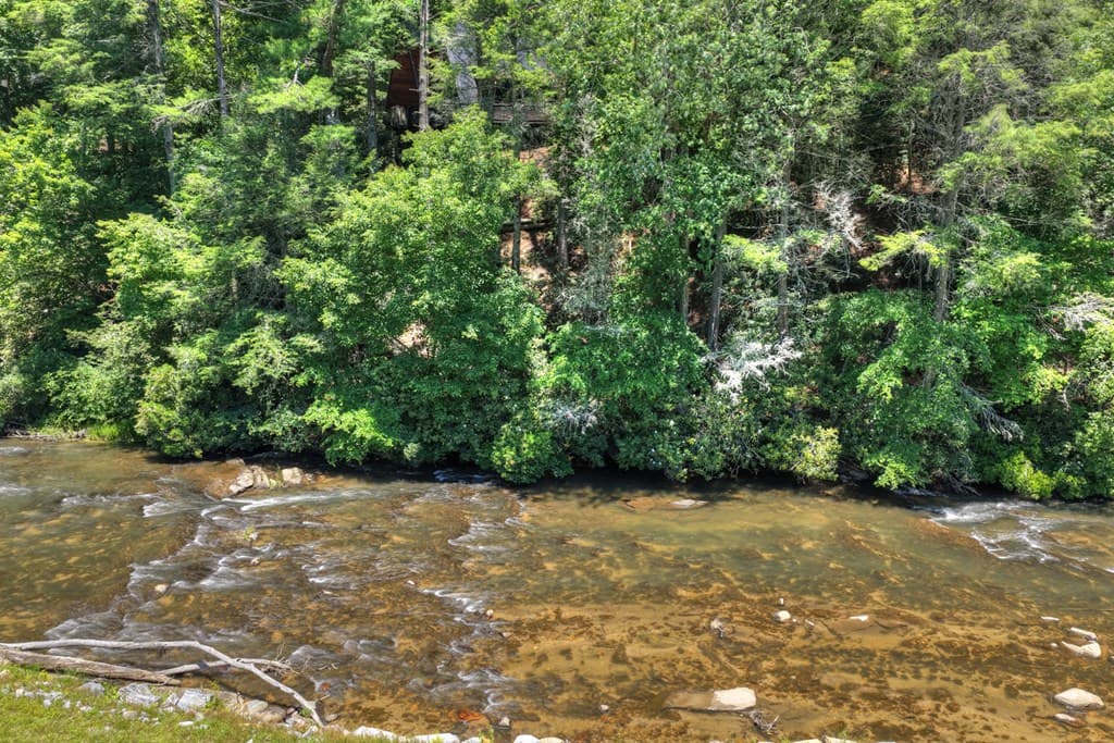 1027 Power Dam Road, Blue Ridge GA 30513 - Photo