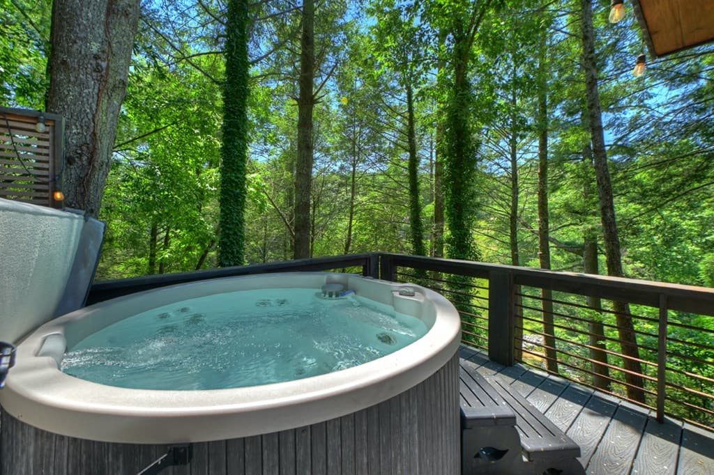 1027 Power Dam Road, Blue Ridge GA 30513 - Photo